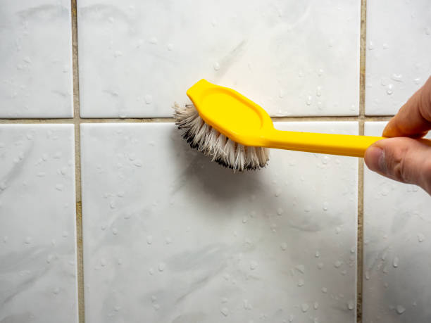  South Rockwood, MI Mold Removal Pros