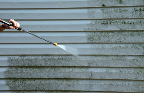 Best Mold Cleaning Services  in South Rockwood, MI