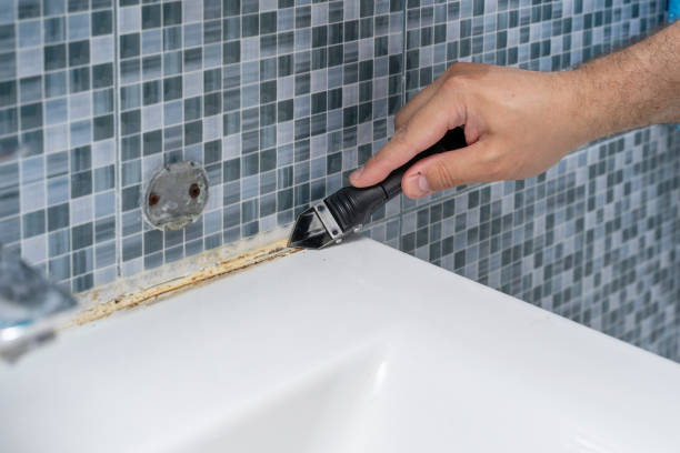 Office Mold Removal Services in South Rockwood, MI